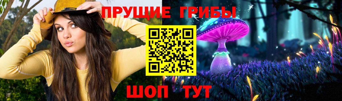 Ногинск  Псилоцибиновые грибы ЛСД  Вход с VPN 